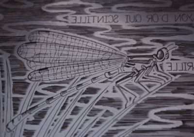 détail de la plaque de l'estampe "la demoiselle". Focus sur la libellule.