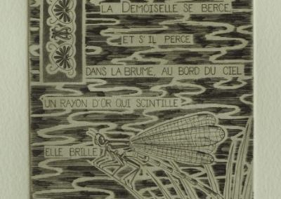 estampe "la demoiselle", représentant une libellule sur un fond de marais avec le texte suivant: la demoiselle se berce et s'il perce dans la brume au bord du ciel un rayon d'or qui scintille elle brille comme un regard d' Ariel.